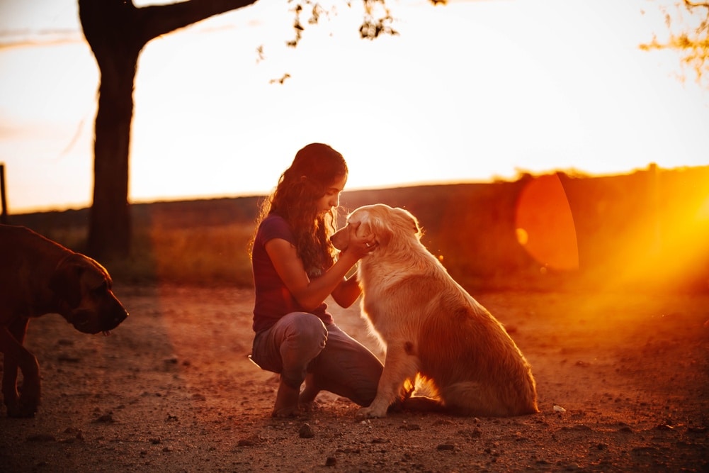 Assicurazione Animali Domestici 1